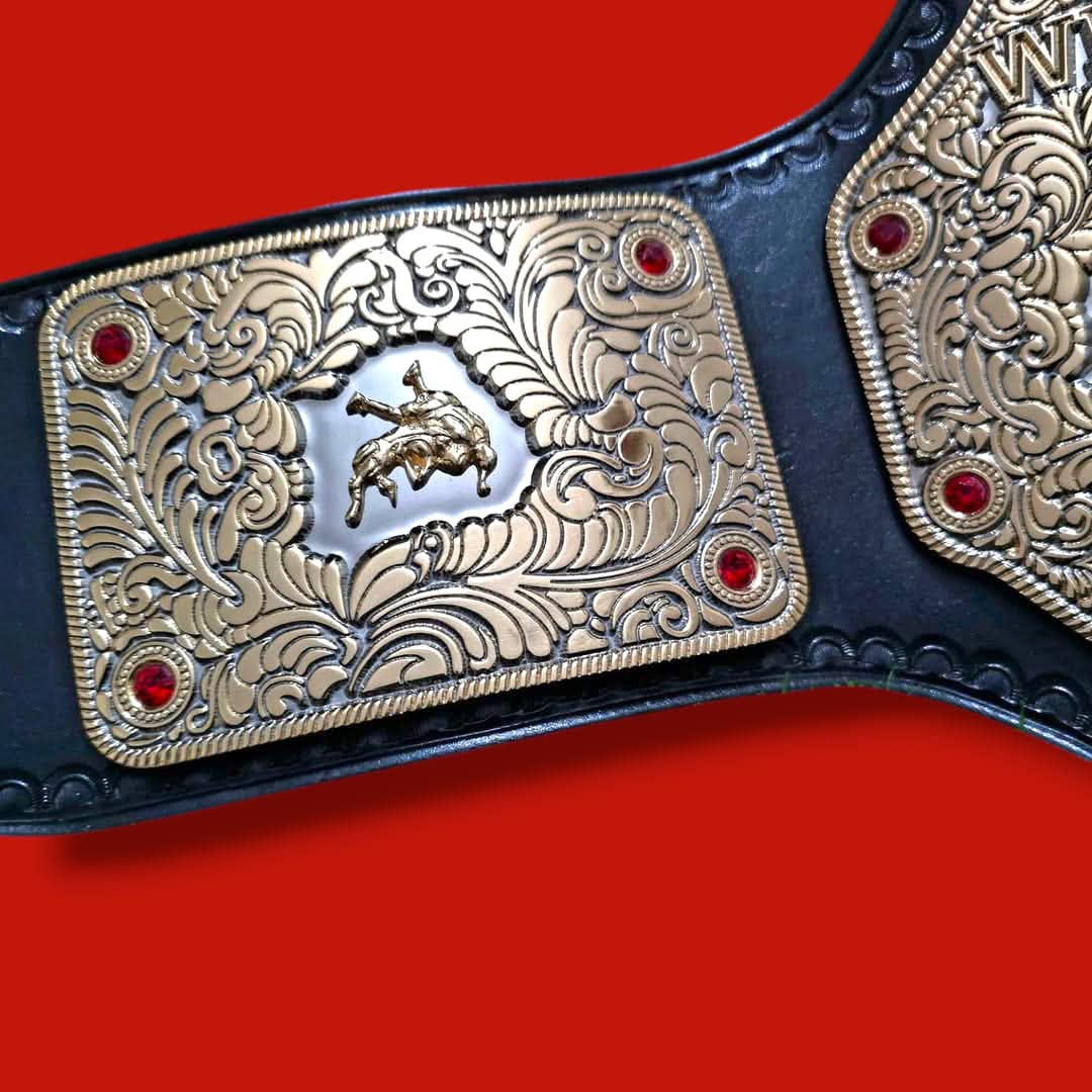 BIG GOLD WWE TITLE