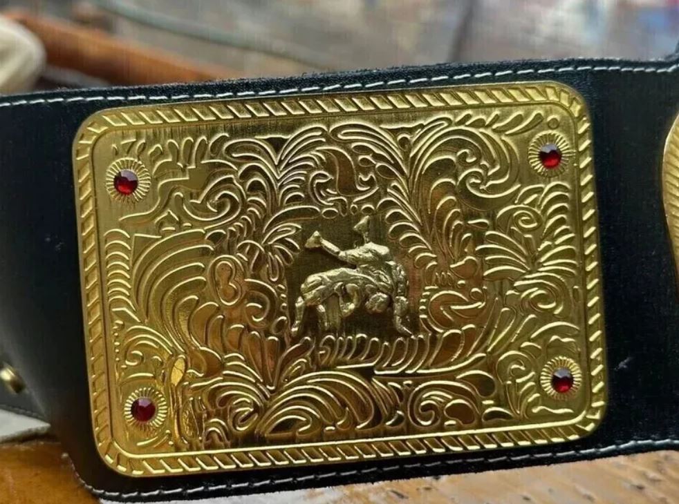 WWE Big Gold World Heavyweight Championship Belt – Premium Replica by Devil Belts
