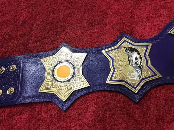 TNA Immortal Jeff Hardy Championship Belt Replica