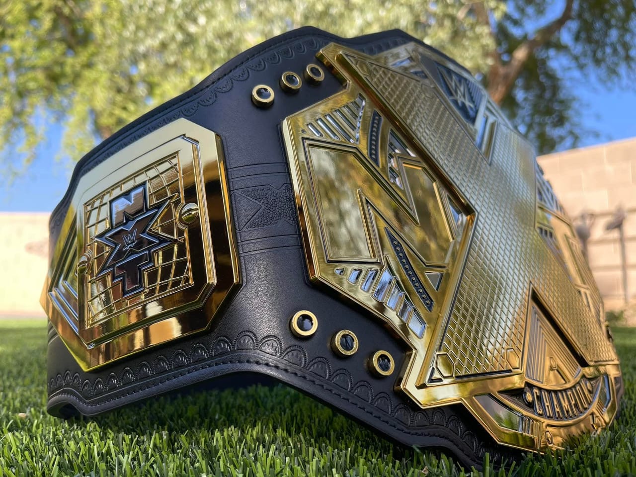 Wwe Belts Drawing At Getdrawings - Nxt Championship
