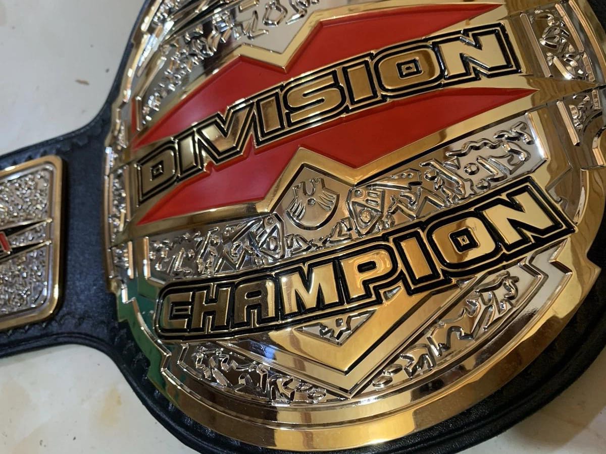 TNA X DIVISION REPLICA TITLE