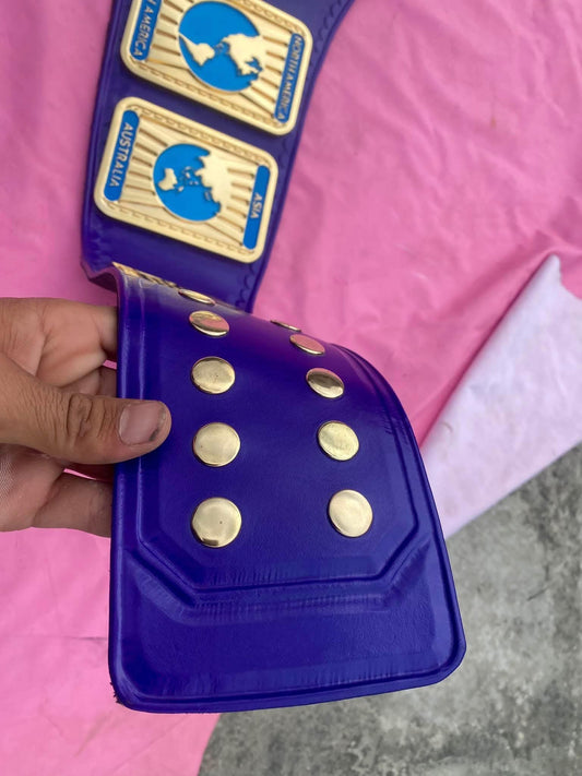 World Wrestling Federation (WWF) Intercontinental Championship