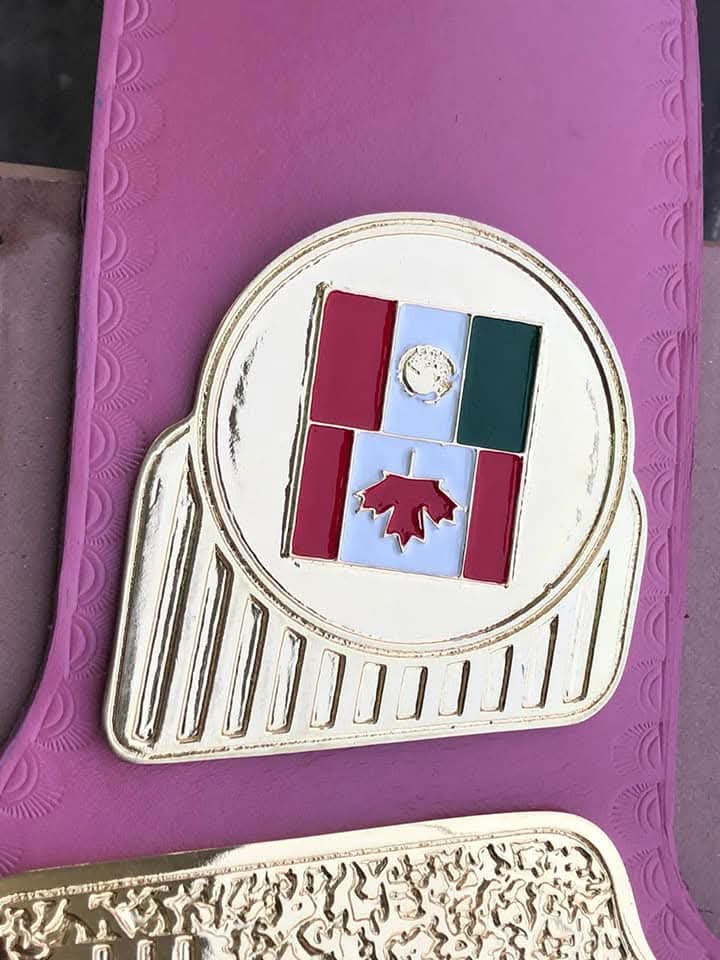 WWF Women Heavyweight Wrestling Championship