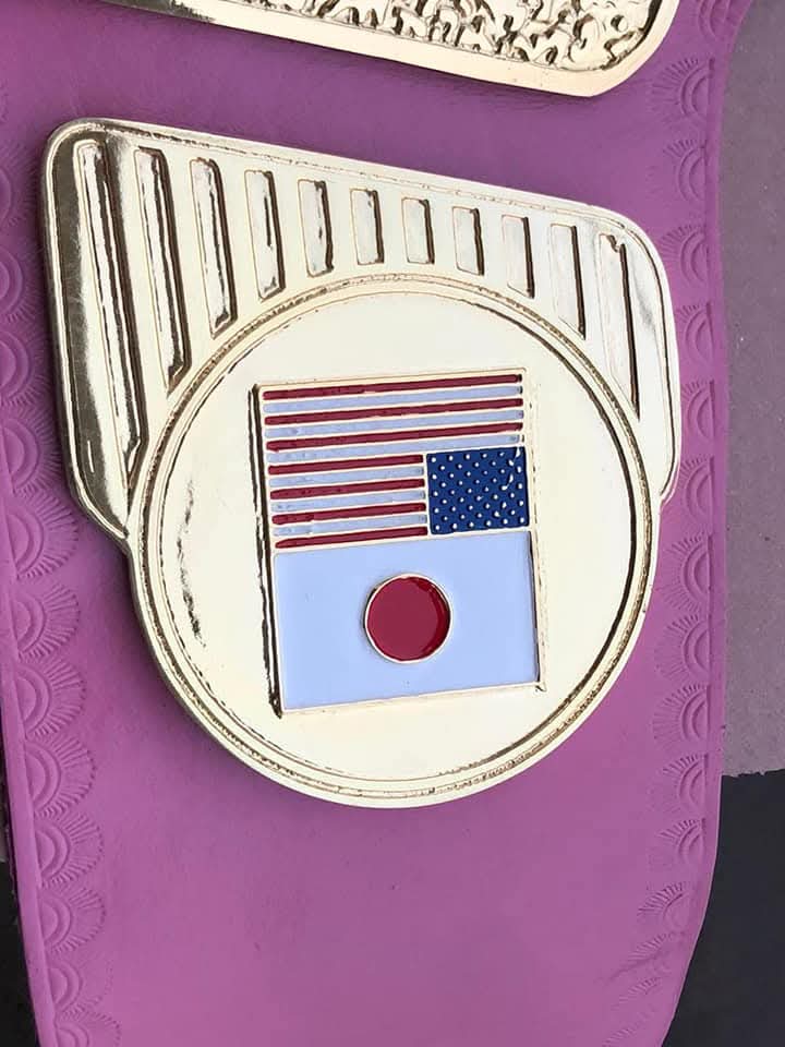 WWF Women Heavyweight Wrestling Championship