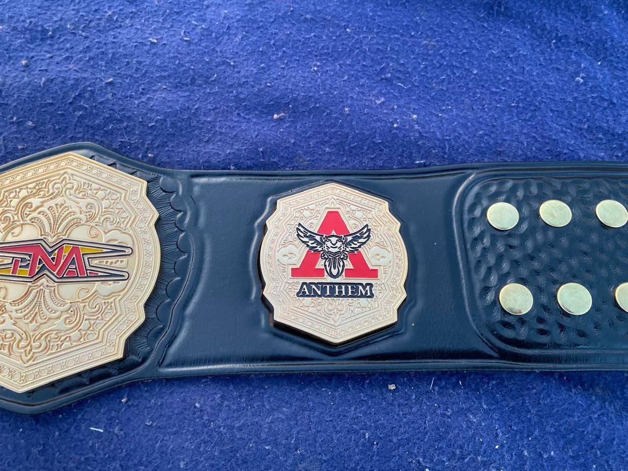 TNA Knockouts World Wrestling Championship Belt