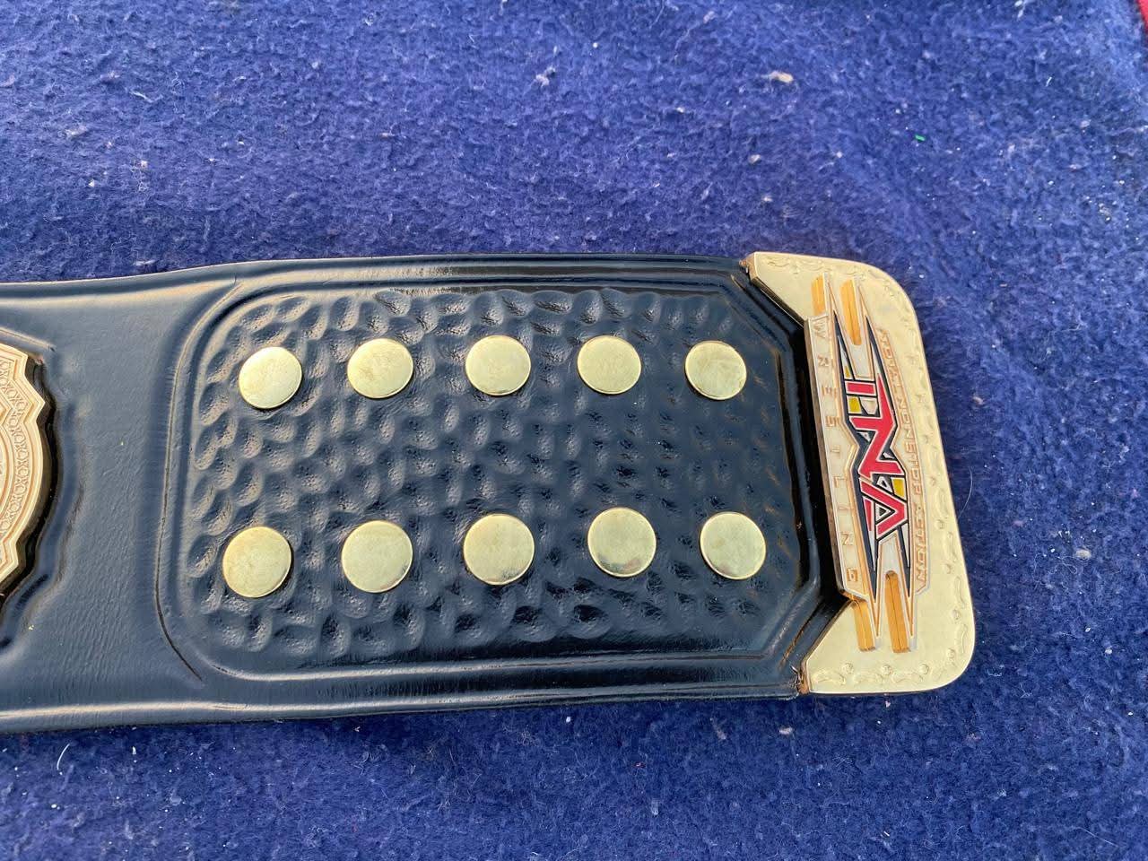 TNA Knockouts World Wrestling Championship Belt