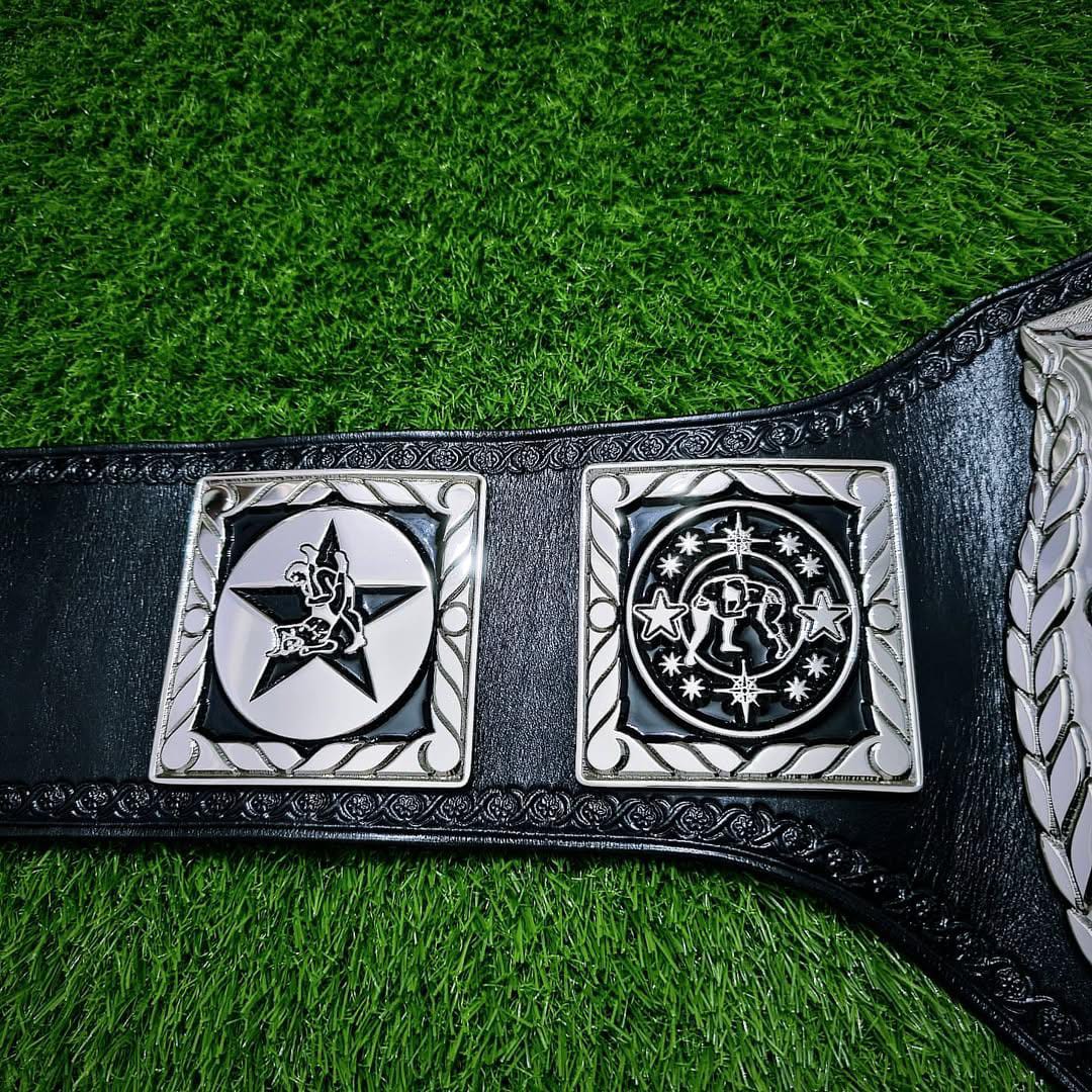 Classic WWF World Tag Team Championship Replica