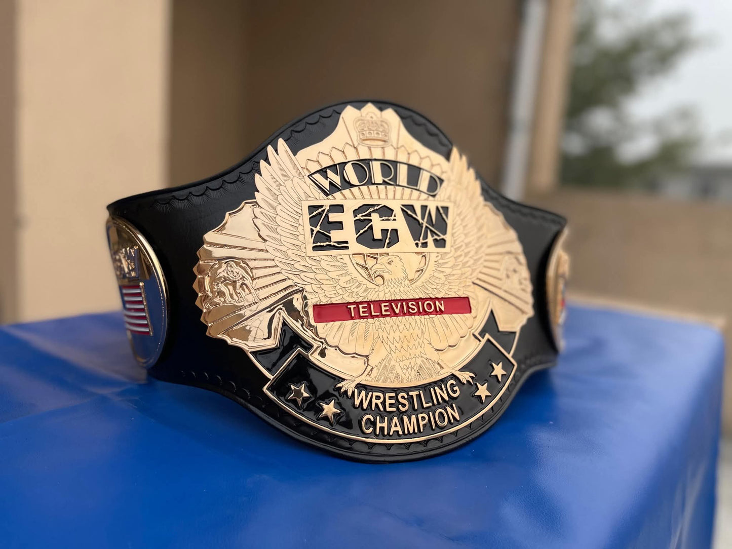 ECW World Television Championship | ECW Title
