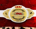 TNA WOMENS WRESTLING CHAMPIONSHIP BELT ADULT SIZE