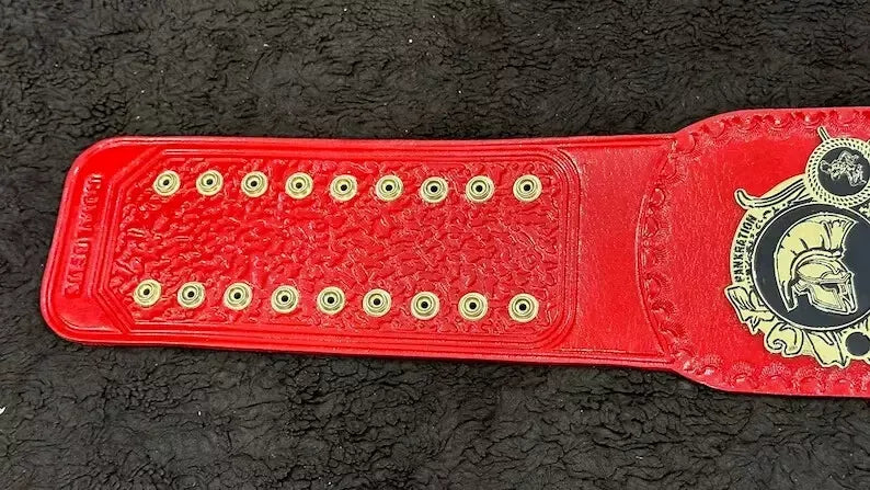 WWE  Wrestling  Championship Belt  Replica Belt  WWE Collectible  Wrestling Cosplay  WWE Fan Gear  Adult Size Belt  Wrestling Memorabilia